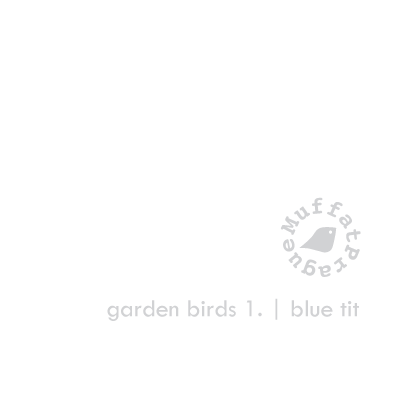 Blue Tit. Garden Birds | series 1.