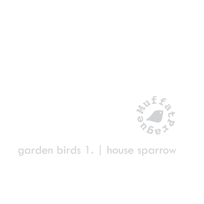 House Sparrow. Garden Birds | series 1.