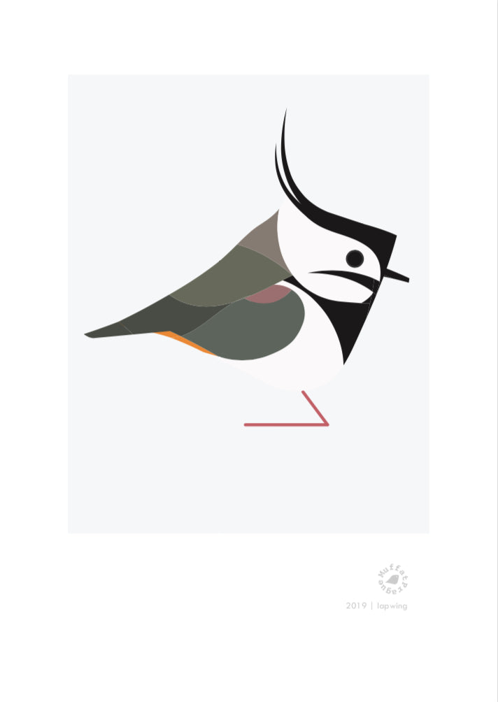 Lapwing
