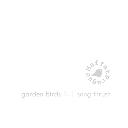Song Thrush. Garden Birds | series 1.