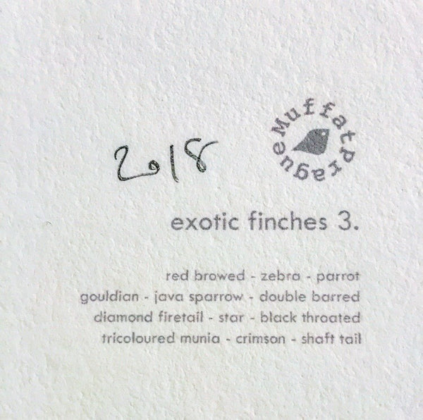 Exotic Finches | series 3.