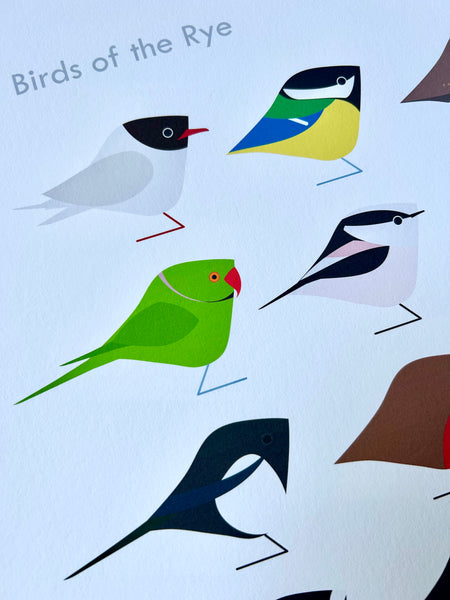 South London | Birds of the Rye