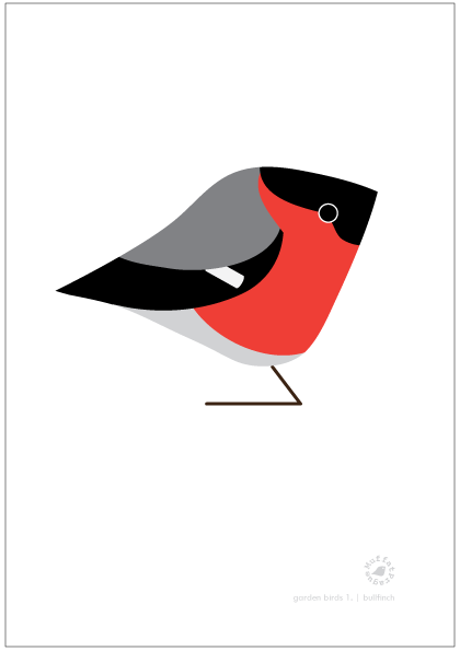 Bullfinch. Garden Birds | series 1.