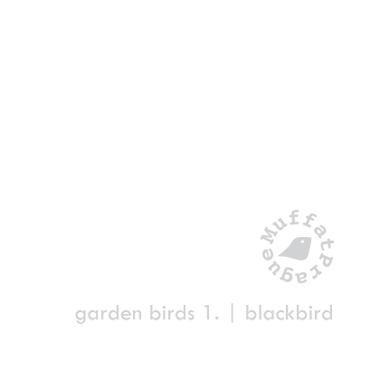 Blackbird. Garden Birds | series 1.