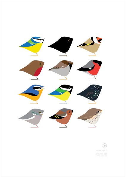 Garden Birds | series 1.