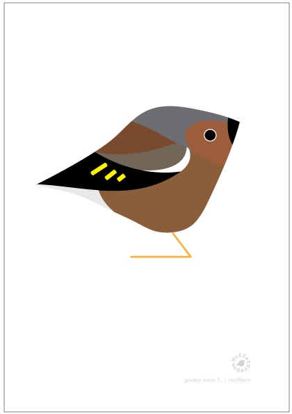 Chaffinch. Garden Birds | series 1.