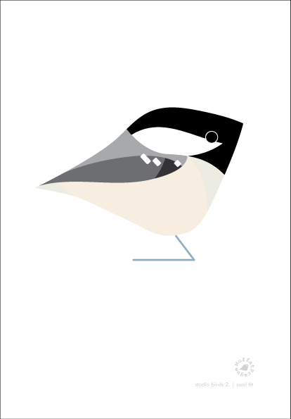 Coal Tit. Studio Birds | series 2.