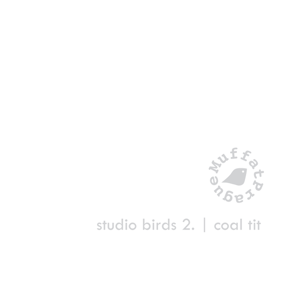 Coal Tit. Studio Birds | series 2.