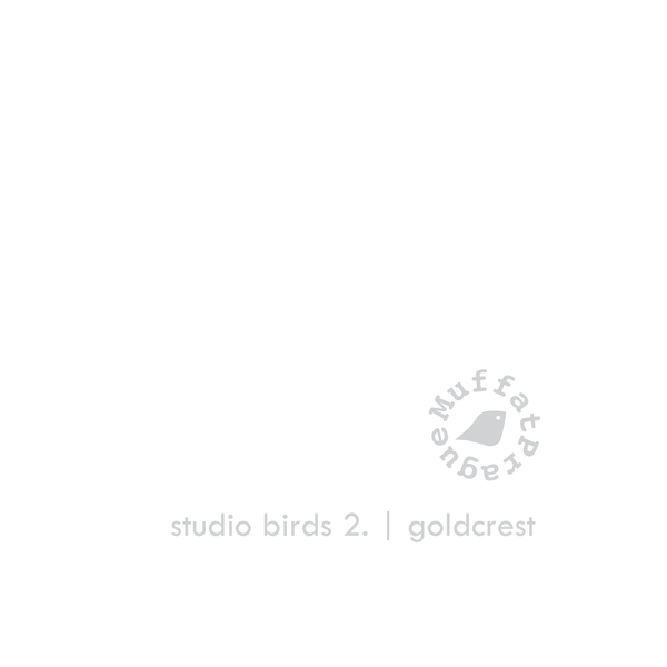 Goldcrest. Studio Birds | series 2.