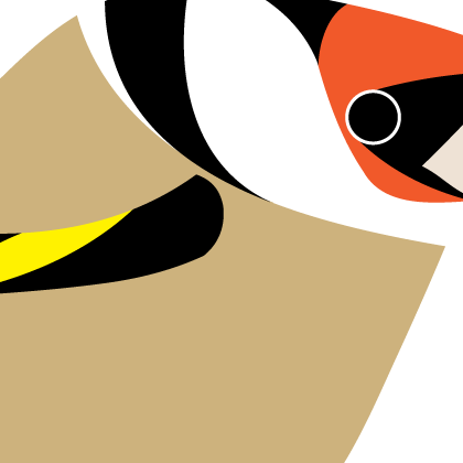 Goldfinch. Garden Birds | series 1.