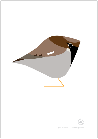 House Sparrow. Garden Birds | series 1.