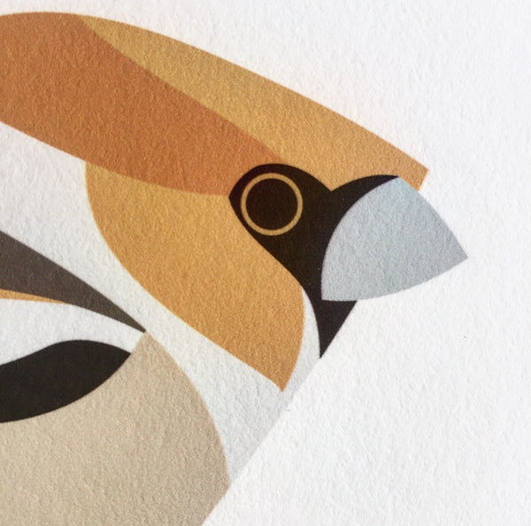 Hawfinch | MuffatPrague Editions Red List - series 4.