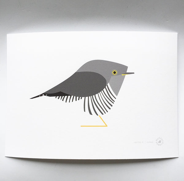 Cuckoo | MuffatPrague Editions Red List - series 4.