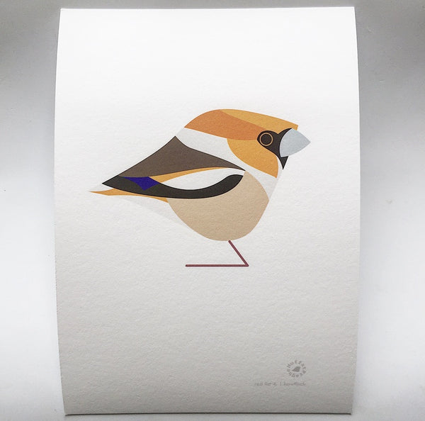 Hawfinch | MuffatPrague Editions Red List - series 4.