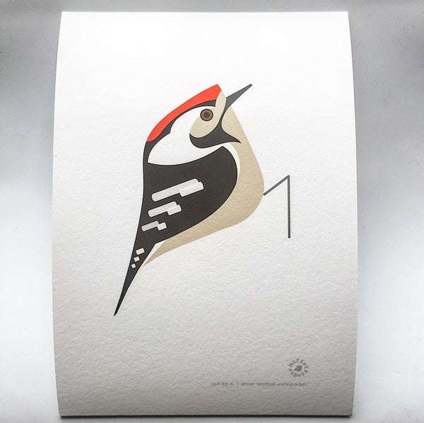 Lesser Spotted Woodpecker | MuffatPrague Editions Red List - series 4.