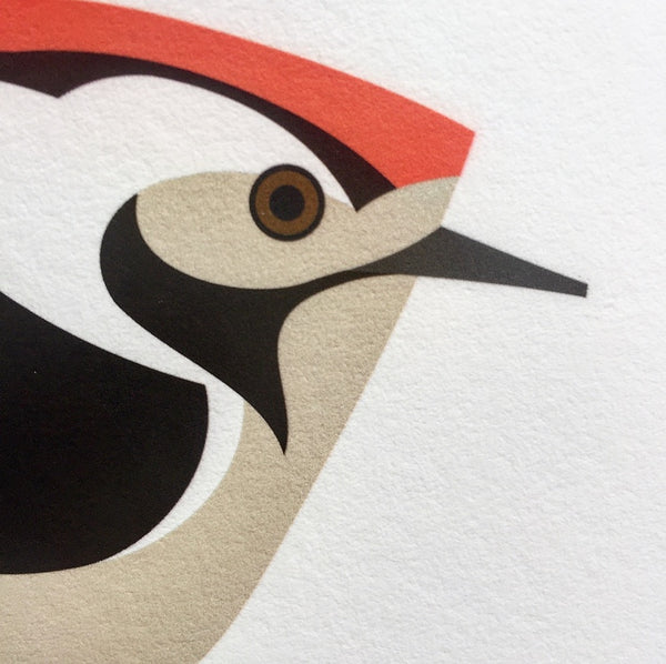 Lesser Spotted Woodpecker | MuffatPrague Editions Red List - series 4.