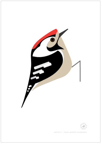 Lesser Spotted Woodpecker | MuffatPrague Editions Red List - series 4.