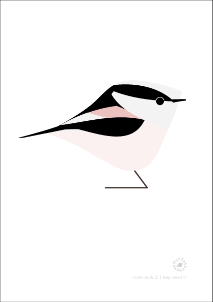 Long Tailed Tit. Studio Birds | series 2.