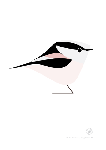 Long Tailed Tit. Studio Birds | series 2.