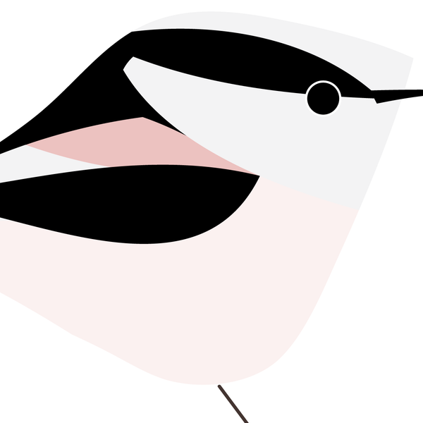 Long Tailed Tit. Studio Birds | series 2.