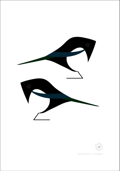 Magpies. Studio Birds | series 2.