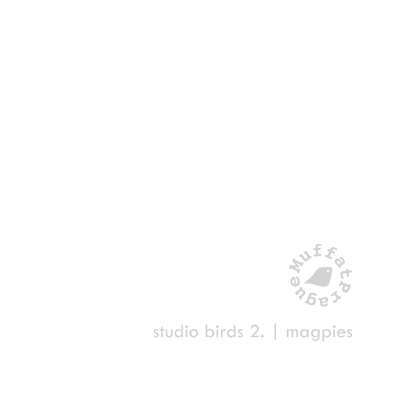 Magpies. Studio Birds | series 2.