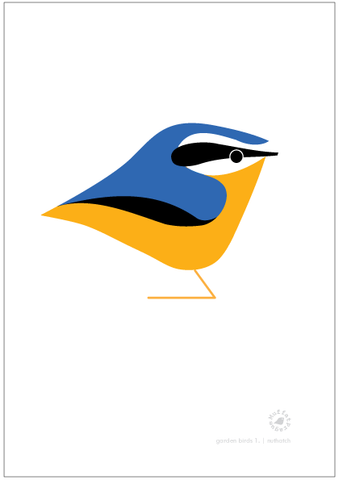 Nuthatch. Garden Birds | series 1.