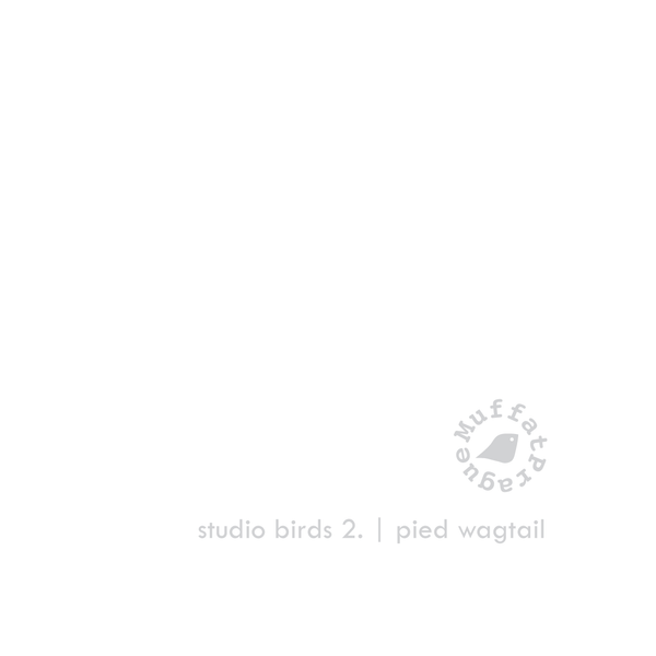 Tree Sparrow. Studio Birds | series 2.