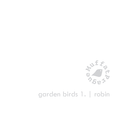 Robin. Garden Birds | series 1.