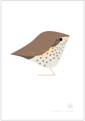 Song Thrush. Garden Birds | series 1.