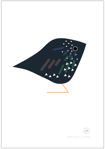 Starling. Garden Birds | series 1.