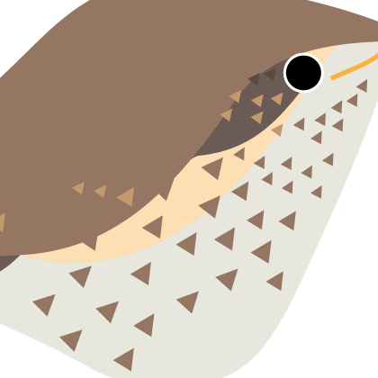 Song Thrush. Garden Birds | series 1.