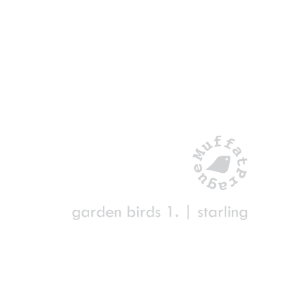Starling. Garden Birds | series 1.