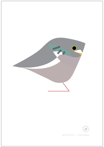 Wood Pigeon. Garden Birds | series 1.