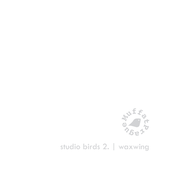Waxwing. Studio Birds | series 2.