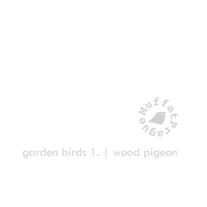 Wood Pigeon. Garden Birds | series 1.