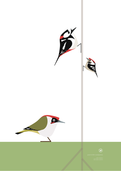 Great British Woodpeckers