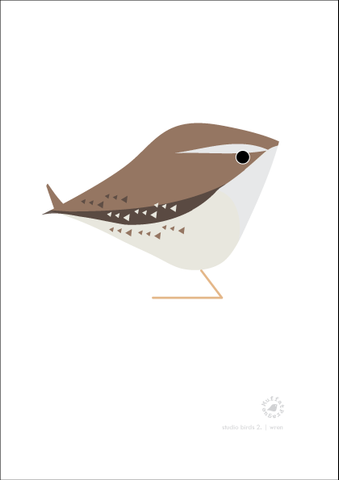 Wren. Studio Birds | series 2.