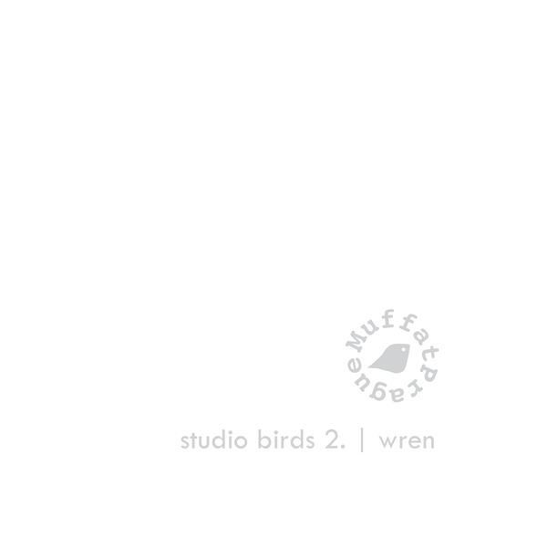 Wren. Studio Birds | series 2.