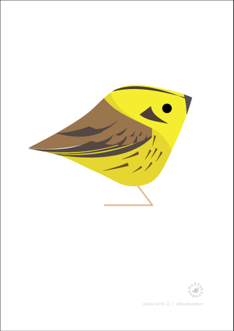 Yellowhammer. Studio Birds | series 2.