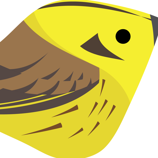 Yellowhammer. Studio Birds | series 2.